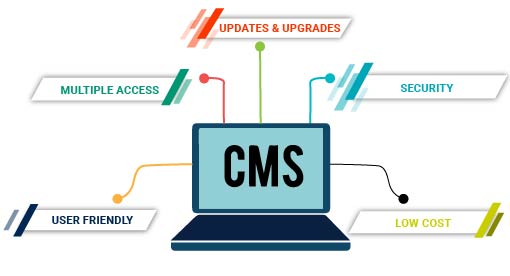 cms development company in Noida