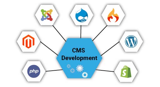cms software development services