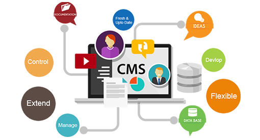 cms software development company in Noida